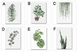 Green Leaves Plant Wall Watercolor Art Prints Canvas Poster