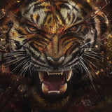 3D Graphic Prints Animal Tiger Design Men's T-Shirt Short Sleeve Tops